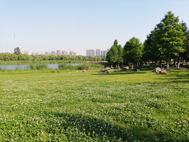 湿地公园蓝天白云