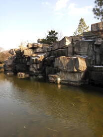 公园假山