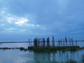 湖边湿地彩云晚霞