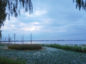 湖边湿地晚霞彩云