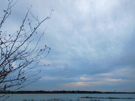 湖边湿地晚霞彩云