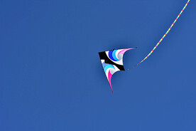 花鸟鱼虫山海兽