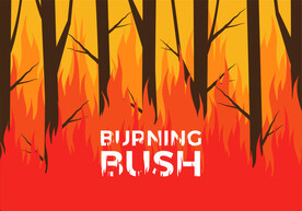 ai矢量森林防火背景