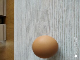 鸡蛋