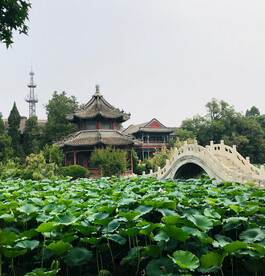 保定古莲花池