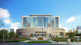 广西国际壮医医院