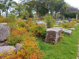 公园石头景观草丛