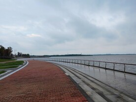 湿地公园观光步道转弯处