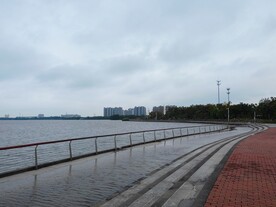 雨后湿地公园观光步道风光