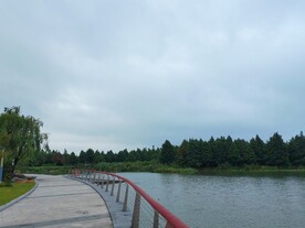 湿地公园观光步道风光