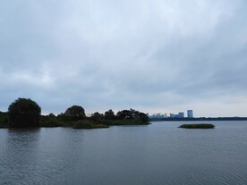 湿地公园湖中小岛