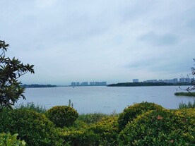 湿地公园湖面风光