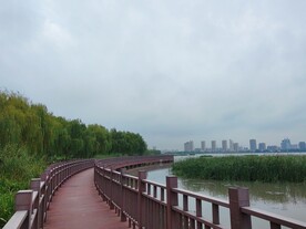 湿地公园木质观光步道