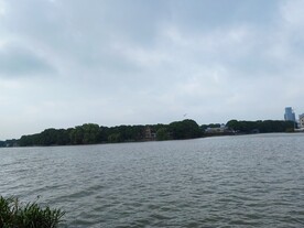 湿地公园湖中小岛