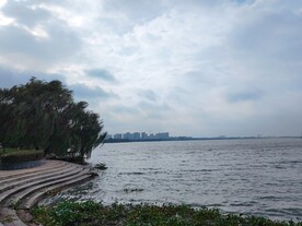 湿地公园湖边石阶