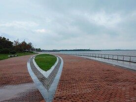 湿地公园观光步道中心草坪