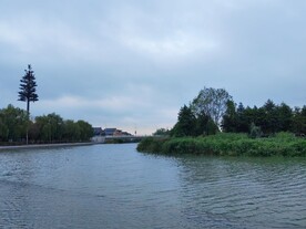 湿地公园湖景风光