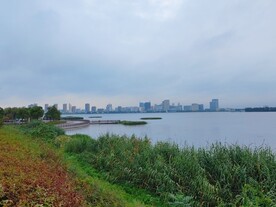 苏州湿地公园湖景风光