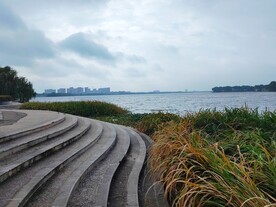 湖边台阶芦苇荡