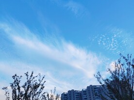 蓝天白云树剪影