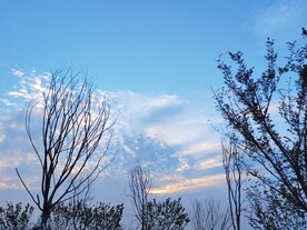 秋天的晚霞鱼鳞云