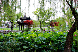 扬州荷花池公园