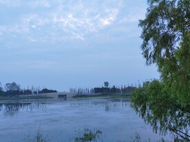 湿地公园小石拱桥