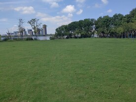 蓝天下的绿草地