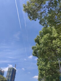 树上飞机飞过轨迹