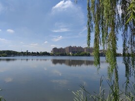 湖边城市建筑风景