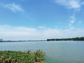 湿地公园远处城市建筑