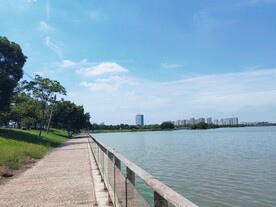 湿地公园湖边观景步道