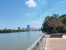 蓝天白云湖边观景平台