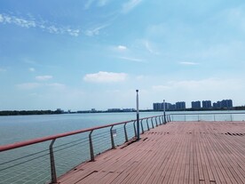 湿地公园湖边观景平台