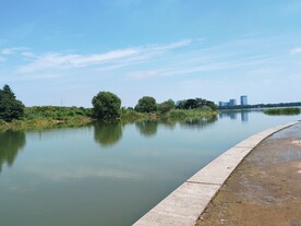 湿地公园观光大堤湖面风光