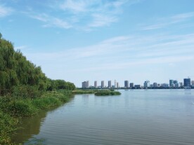 湿地湖边城市建筑