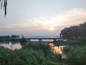 傍晚湿地公园湖面大桥风光