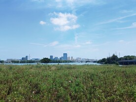 蓝天白云湖边城市建筑