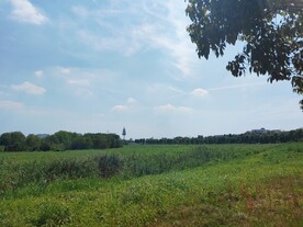 蓝天白云下绿草地