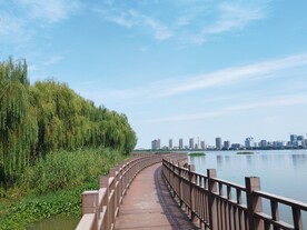 湿地公园湖边观光木质步道