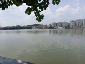 湖水 绿草 青苔 自然 风景 