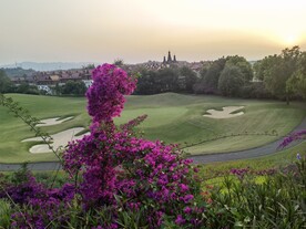 绿草地 青苔 花朵