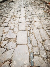 小路 青苔 自然 风景 