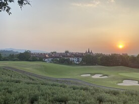 绿草地 朝阳 自然 风景 