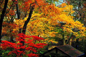 南京栖霞山秋天