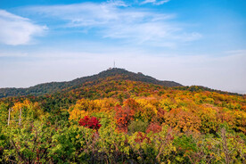 栖霞山秋天