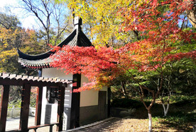 栖霞山秋天