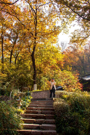 栖霞山秋天