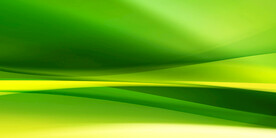 绿色背景