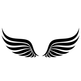 翅膀